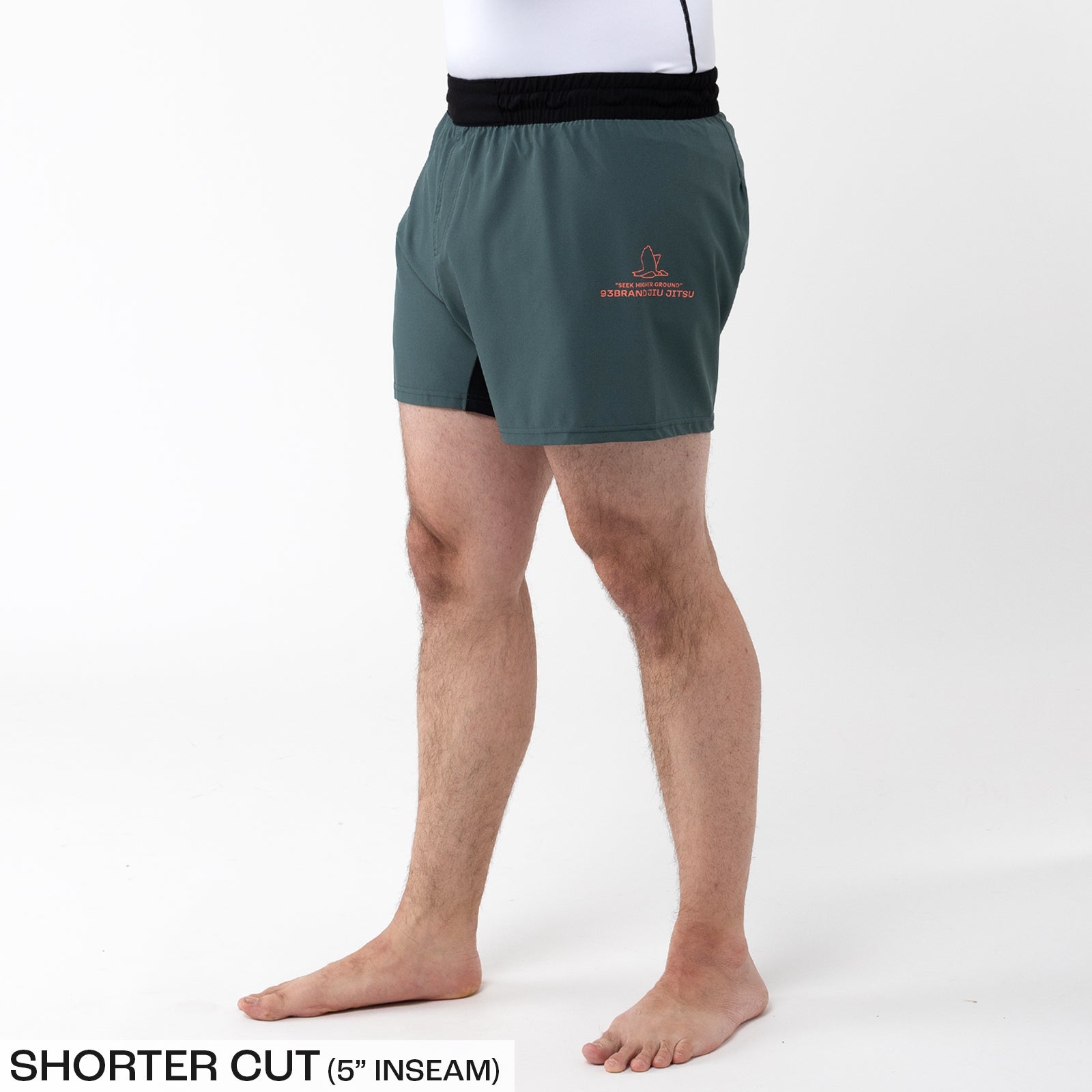 STANDARD ISSUE 2-Pack Shorts - Black/Kombu (5