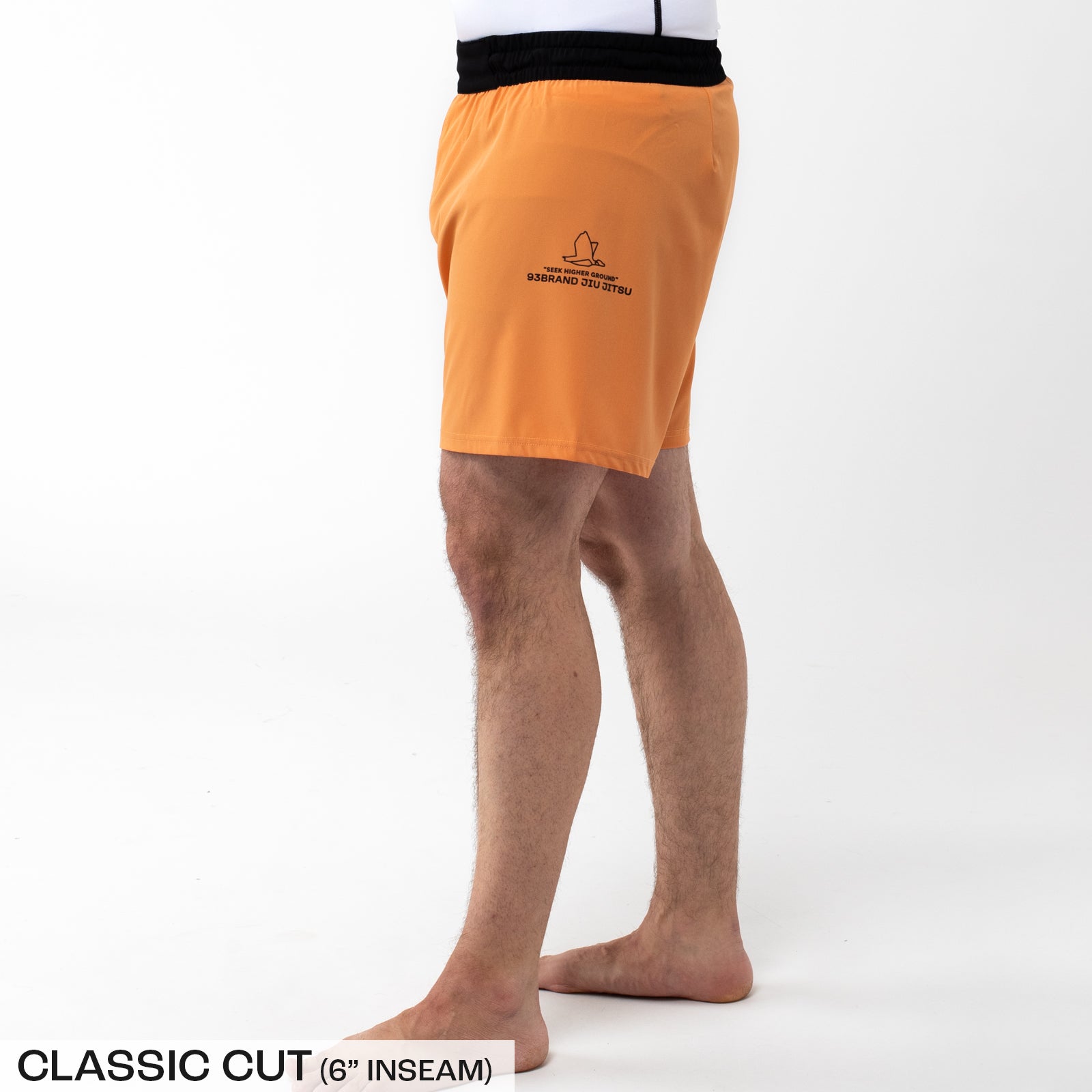 STANDARD ISSUE 2-Pack Shorts - Citrus Pop Colorways (5