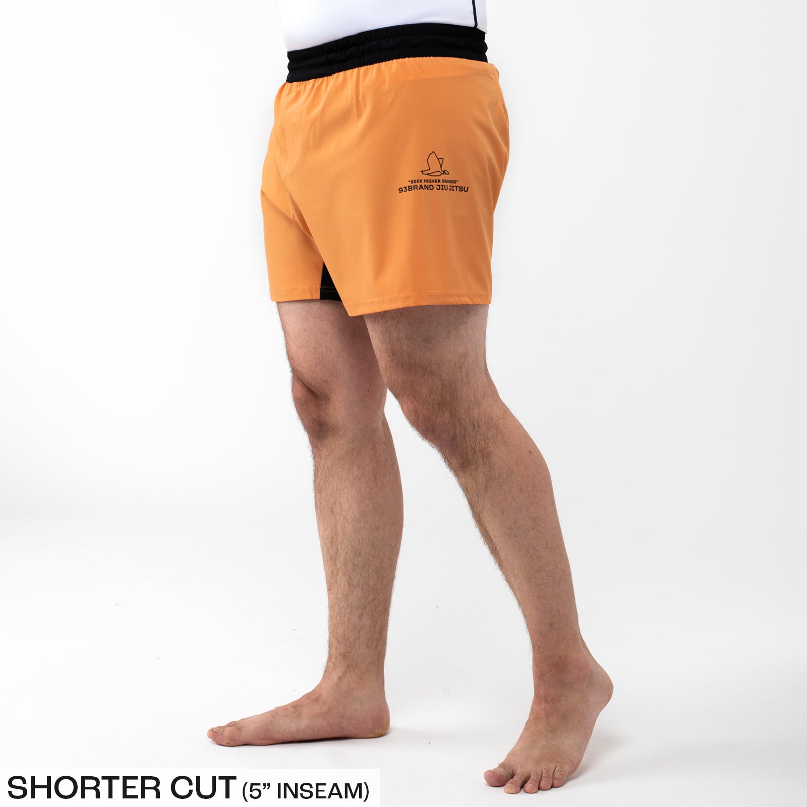 STANDARD ISSUE 2-Pack Shorts - Citrus Pop Colorways (5