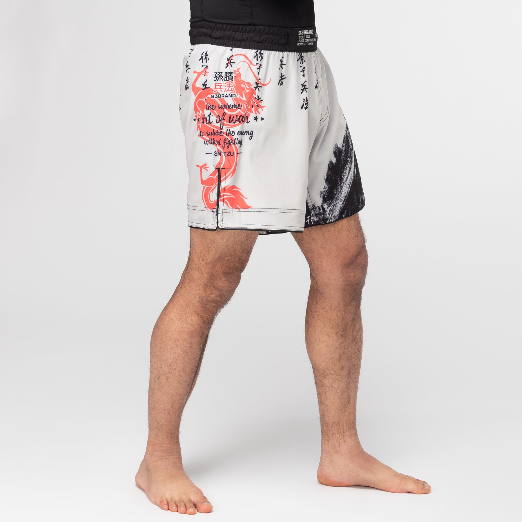 ART OF WAR Shorts (6