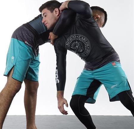 MINT Shorts (Regular Length)